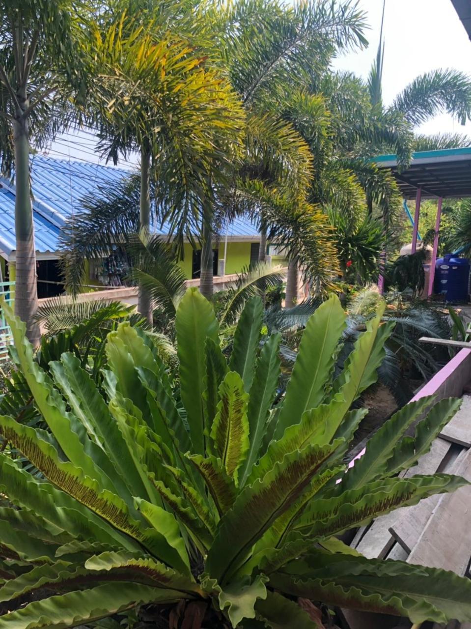Bann Pa Su Hotel Ko Lan Exterior foto